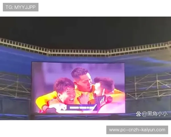 申花奋战未果，柔佛新山反击显神威——一场激情与碰撞的亚冠之夜