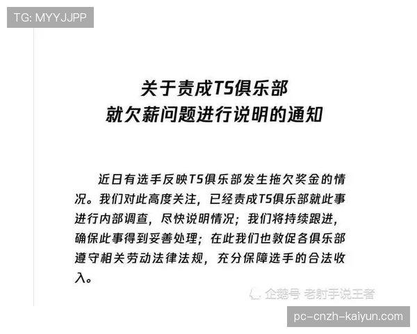 职业比赛经济系统深度解析